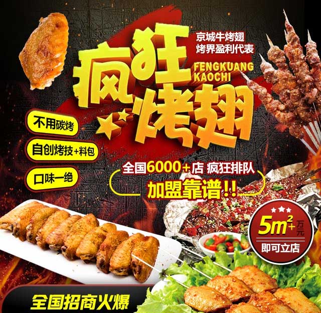 兴海奥尔良烤翅